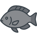 Tilapia